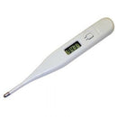 Digital Thermometer